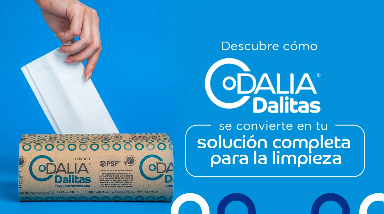 Descubre la Solución de Limpieza Favorita: Dalia Dalitas