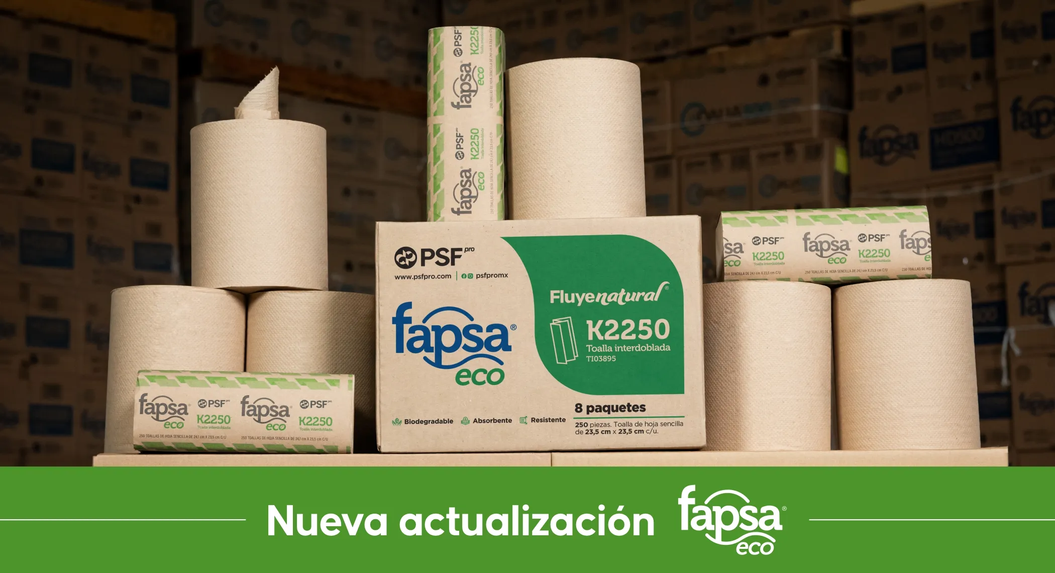 Nueva actualización Fapsa eco