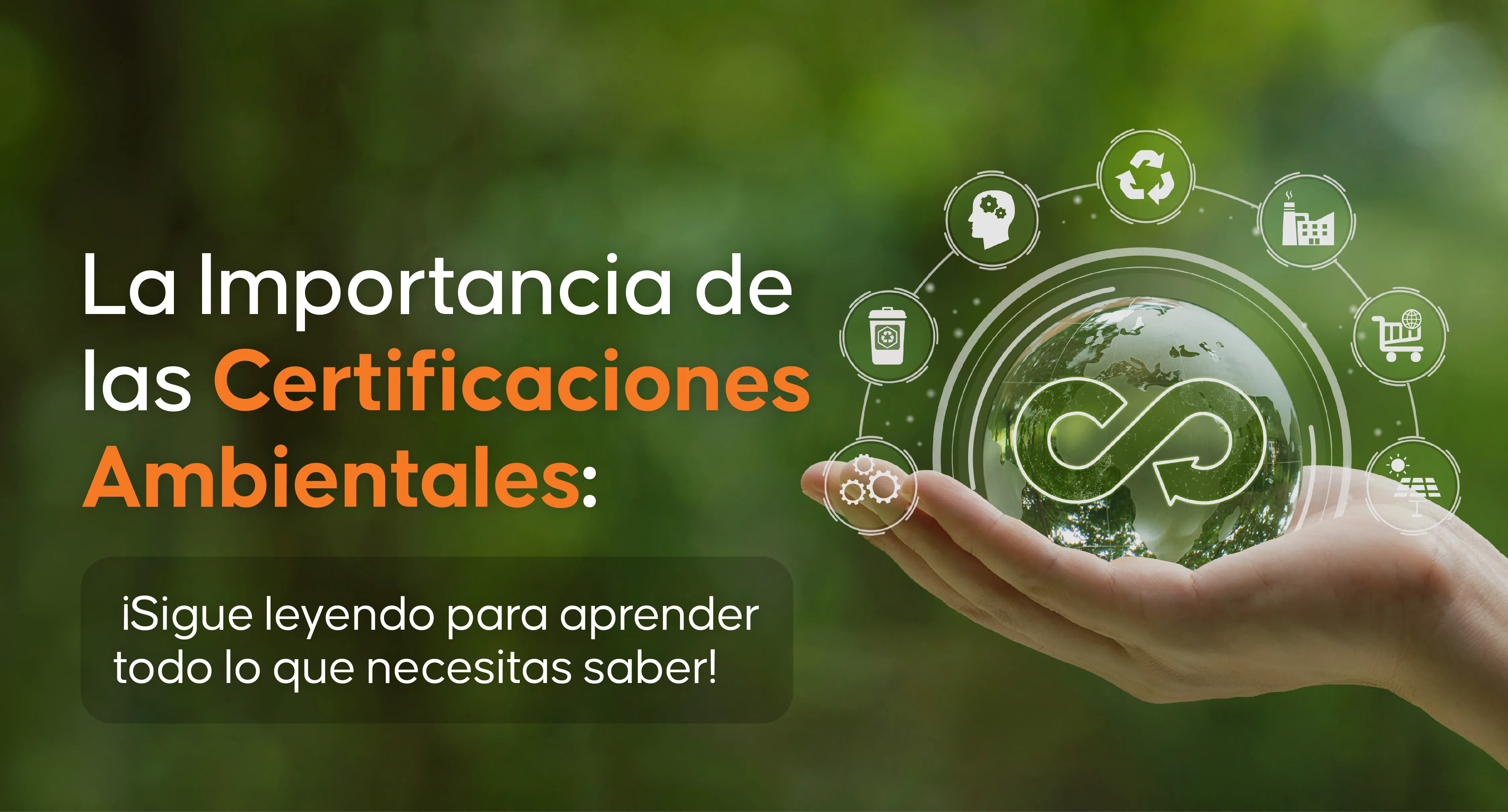 Un Compromiso Ecológico: La Importancia de las Certificaciones Ambientales