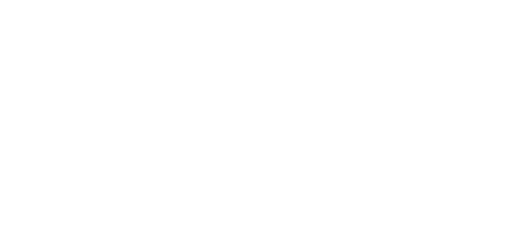 Level Logo