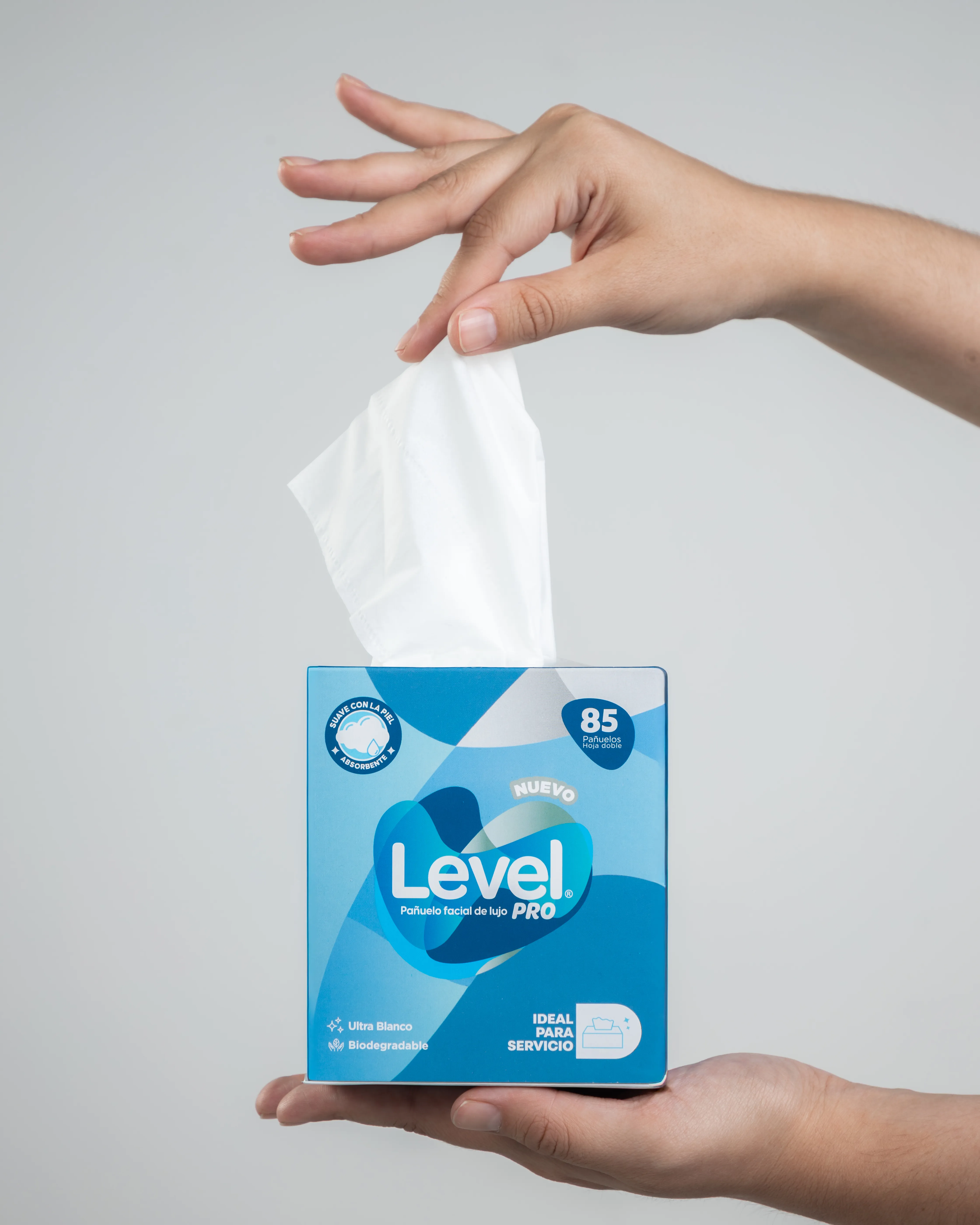 Level